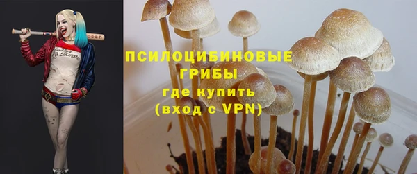 герыч Аркадак