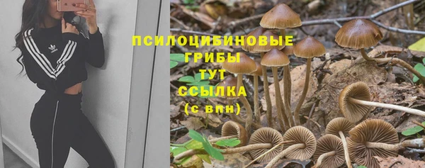 герыч Аркадак
