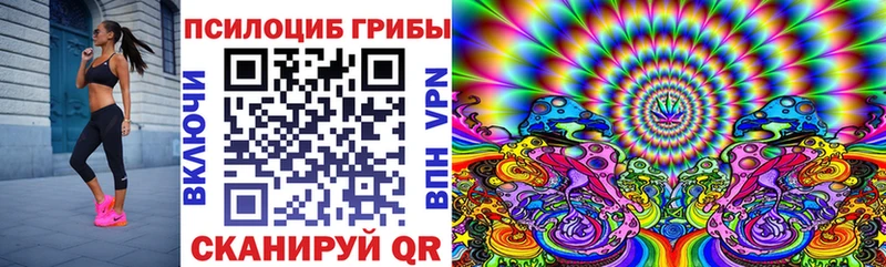 купить   Армавир  Галлюциногенные грибы Cubensis 